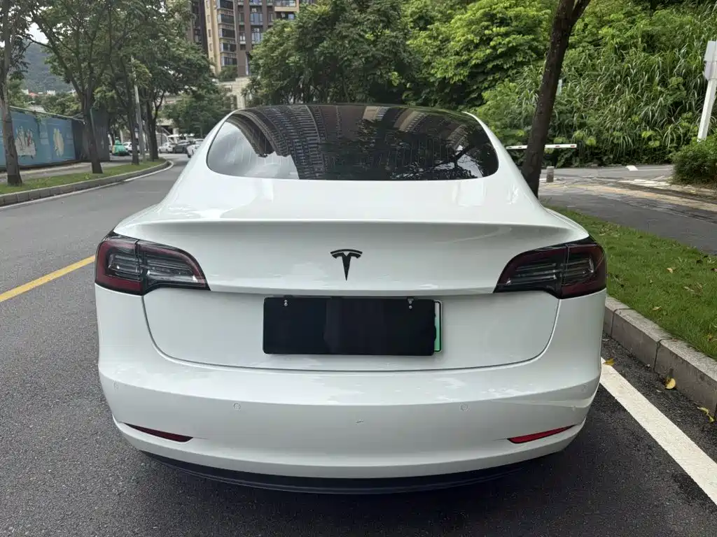 Tesla Model 3 2020 2020 Standard Range Rear-Wheel Drive Upgrade