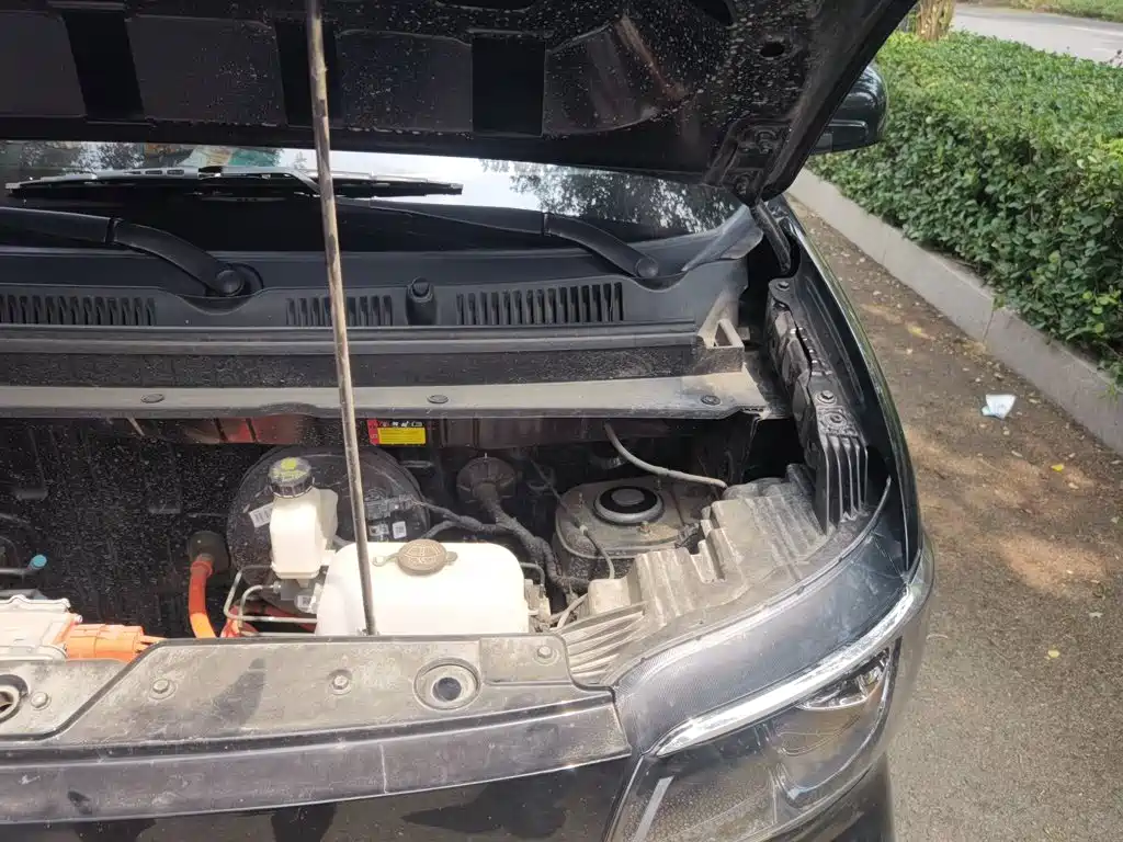 Wuling Motors Wuling Zhiguang NEV 2025 2025 Model 305km Base Version