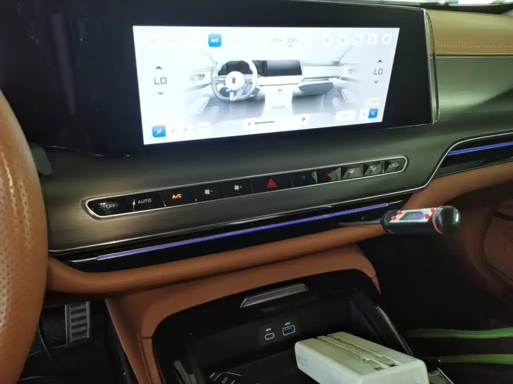 Photo 13 - Hongqi H9