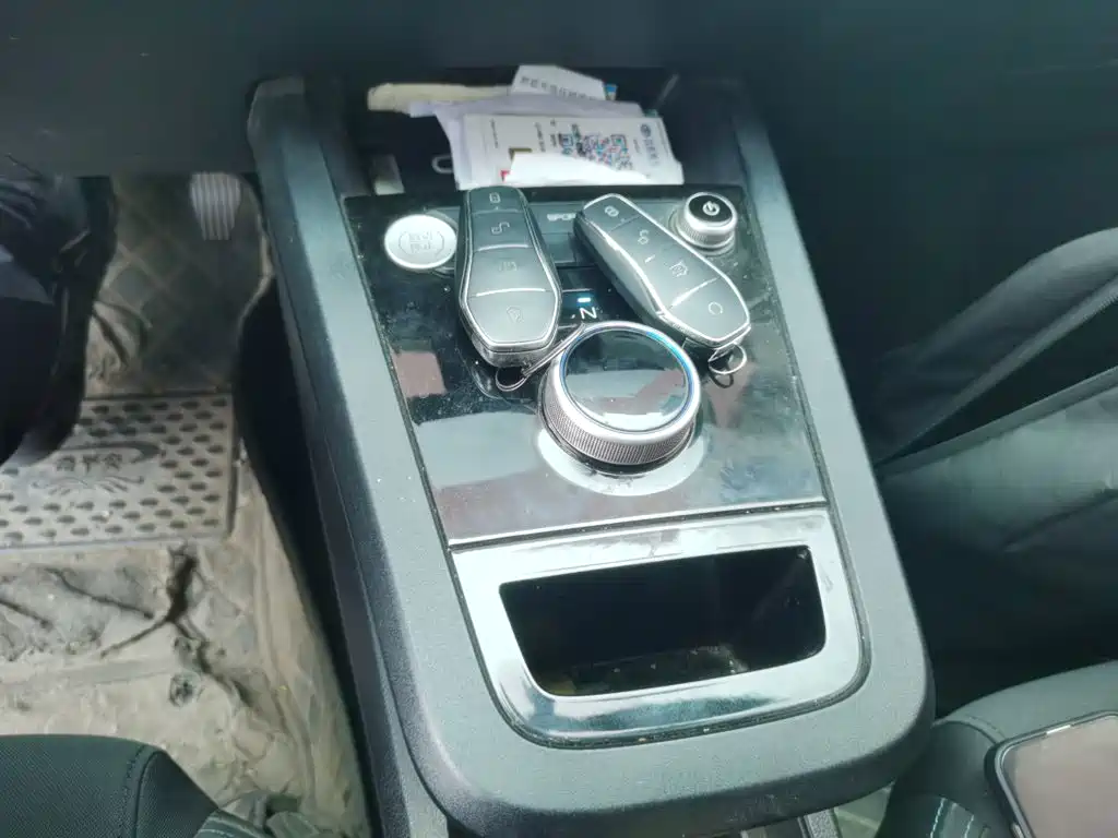 BYD e2 2021 2020 Upgrade Standard Range Standard Model
