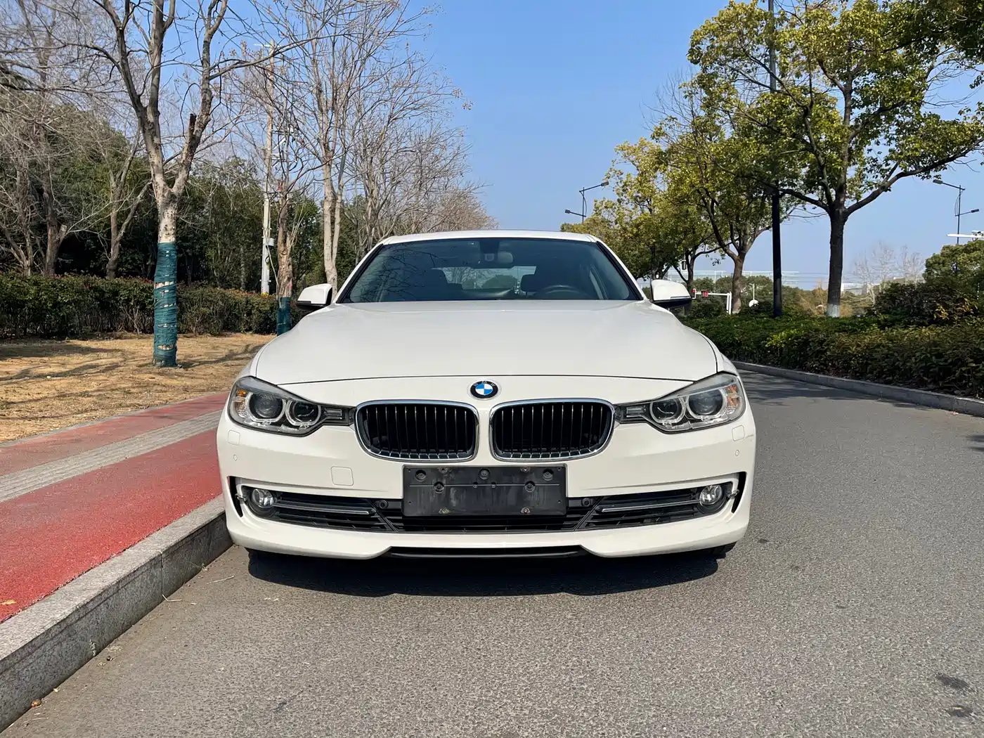 BMW 3 Series 2014 320Li Luxury Design Package фото 2