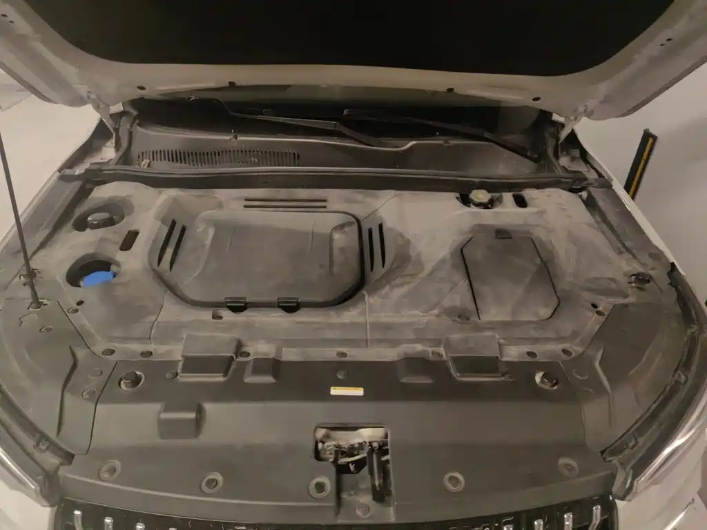 Leopaard Mattu 2018 2018 1.6T GDI DCT Premium Edition