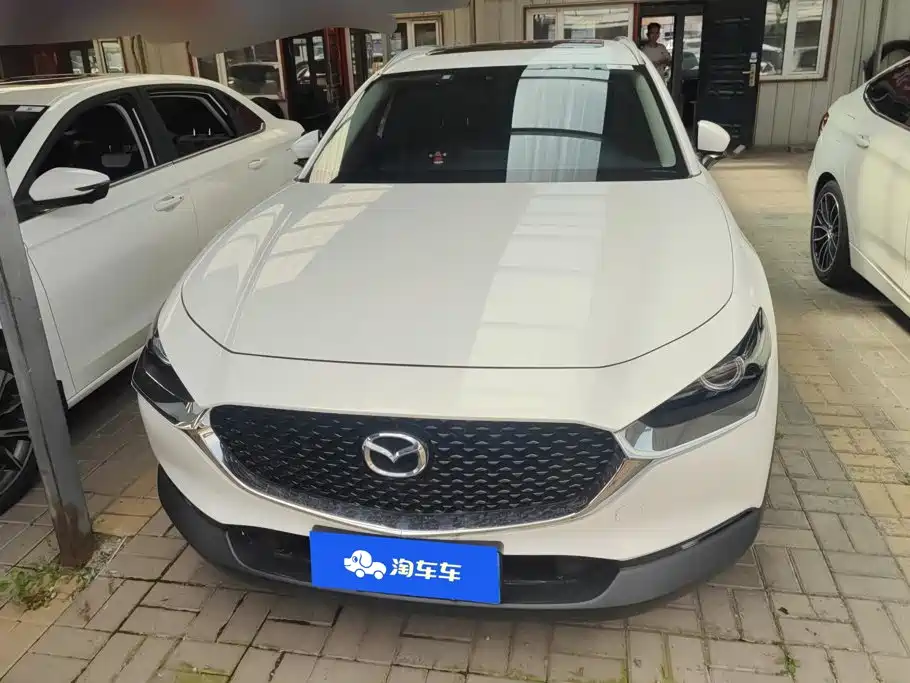Mazda CX-30 2021 2021 2.0L Auto Elegant Joy Type