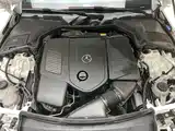 Фото 21 - Mercedes-Benz C-Class