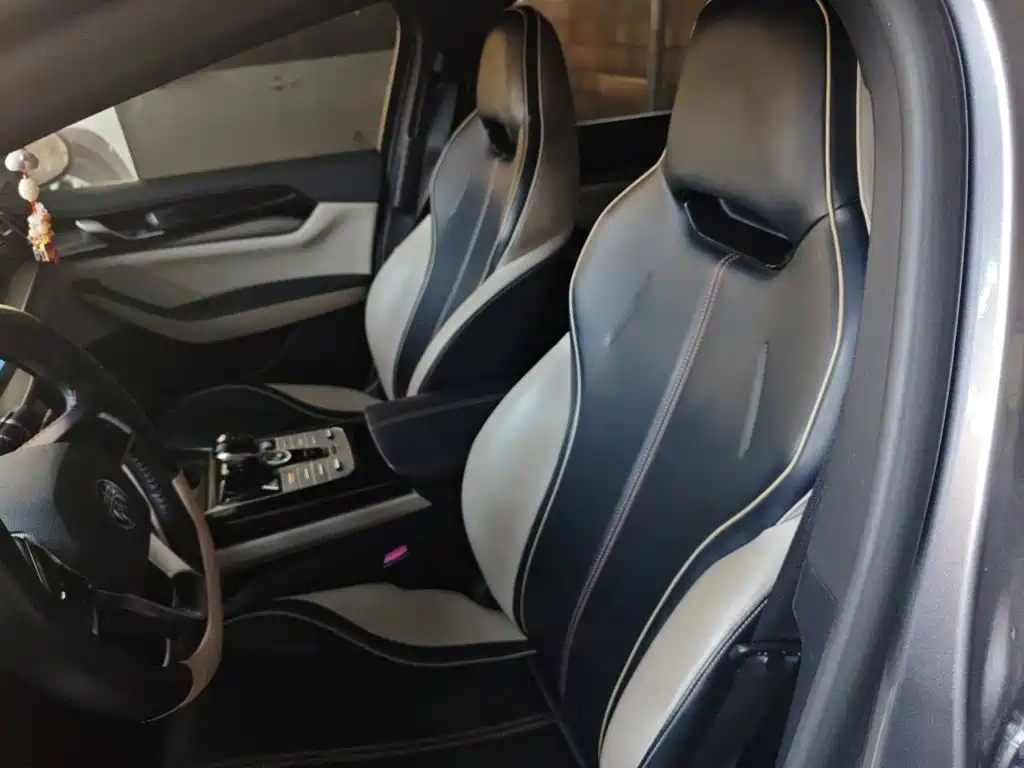 BYD Qin PLUS 2022 2021 DM-i 55KM Flagship