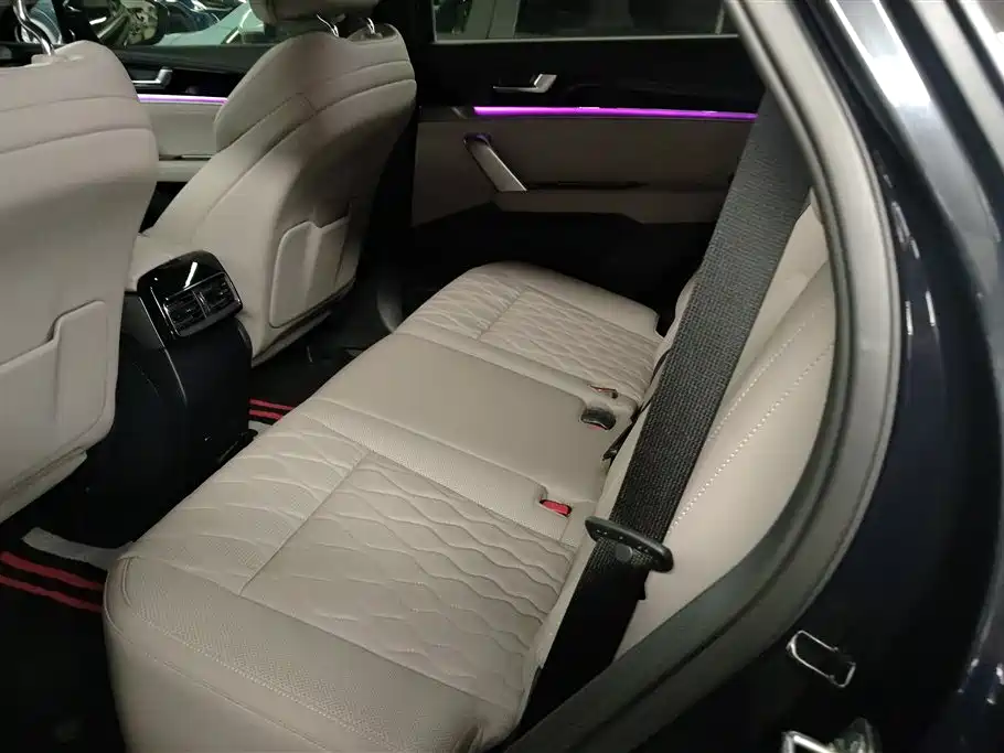 BYD Tang New Energy 2024 Model DM-i Glory Edition 112KM Flagship Type фото 11