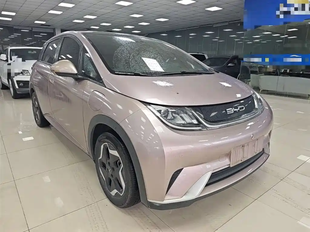 BYD Dolphin 2021 Model 405km Fashion Edition фото 4