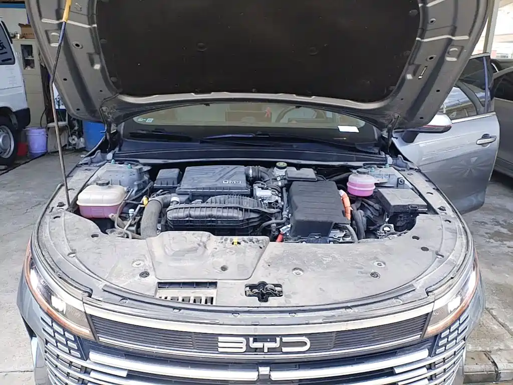 BYD Destroyer 05 2024 2024 Glory Edition DM-i 120KM Luxury