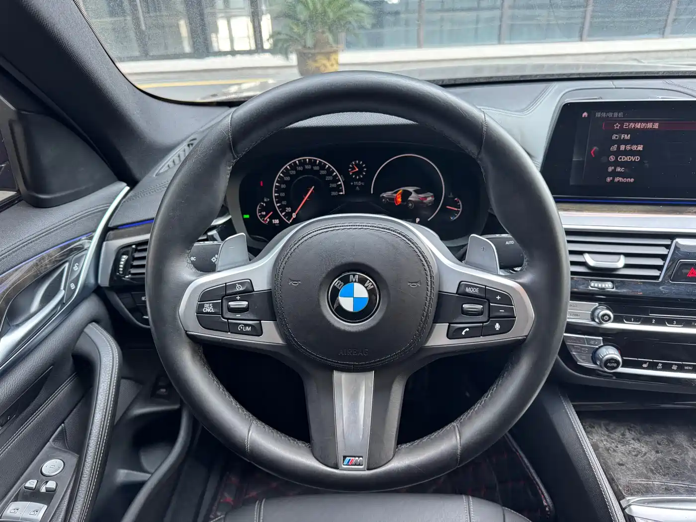 BMW 5 Series 2019 530Li Leading M Sport Package фото 9