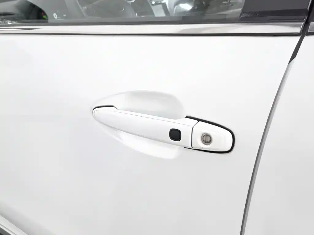 BYD Tang New Energy 2015 2015 2.0T 4WD Flagship