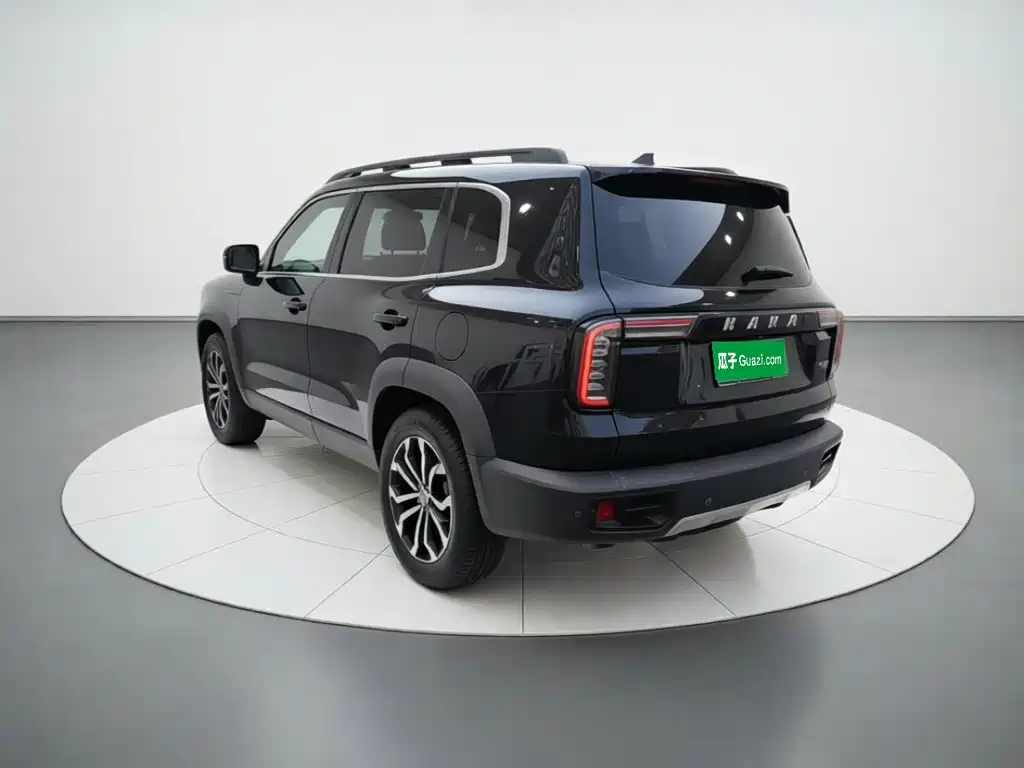 Фото 25 - Haval Dargo