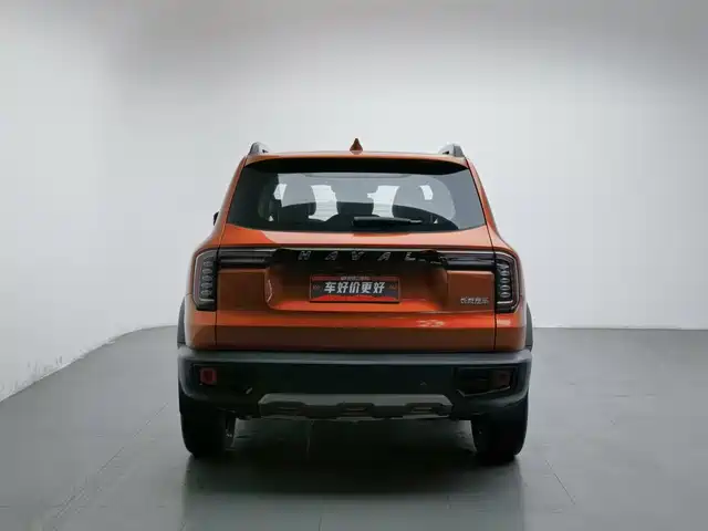 Haval Big Dog 2021 1.5T DCT 2WD Border Collie Edition — фото 4