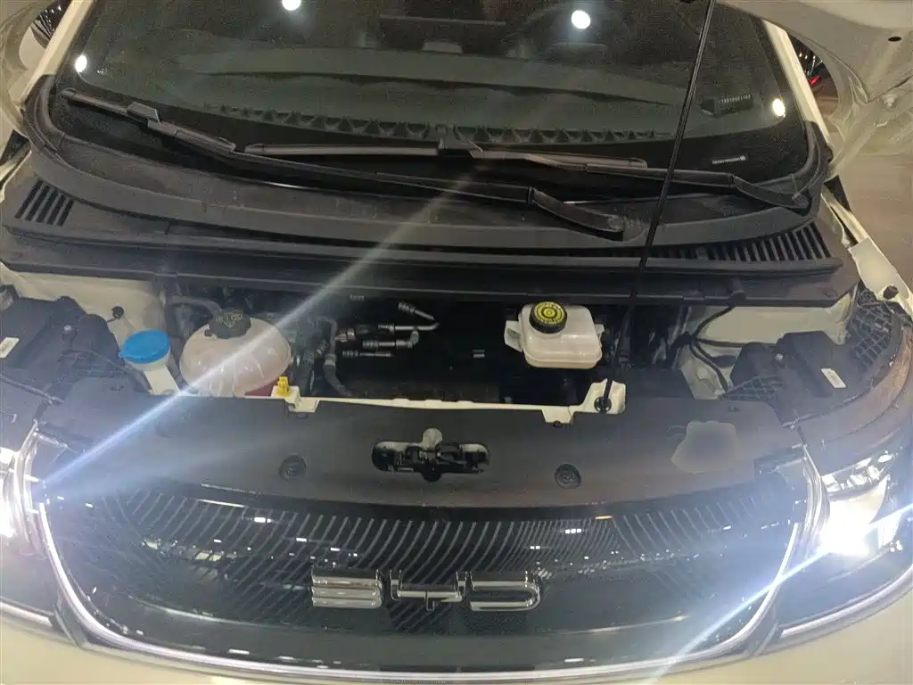 BYD Dolphin 2023 420km Fashion Edition фото 16