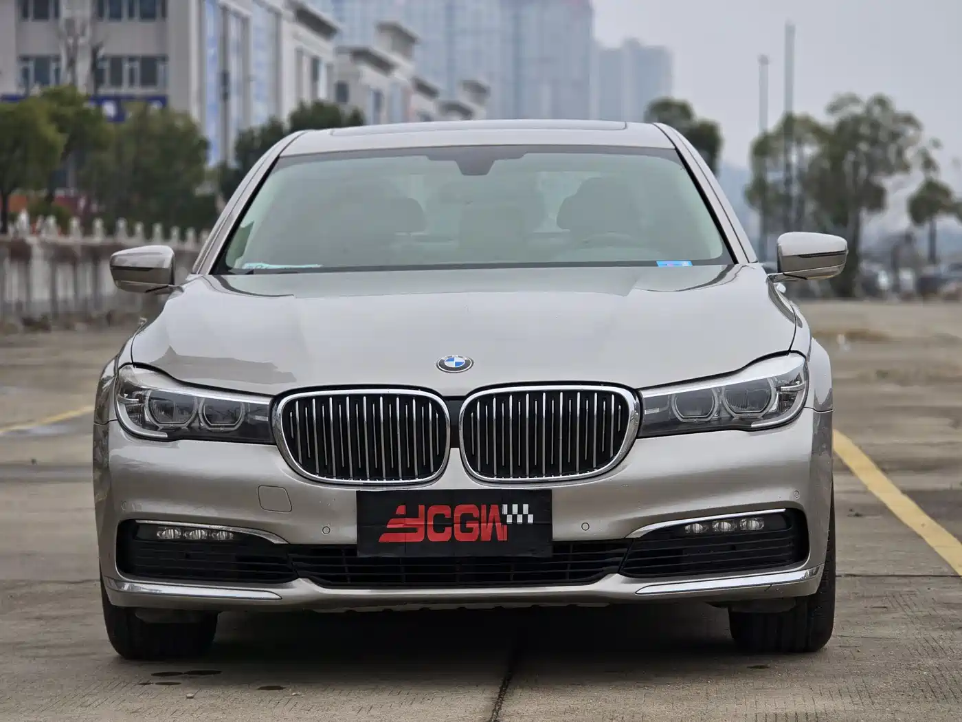 BMW 7 Series 2016 730Li Leading фото 2