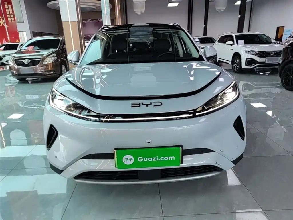 BYD Hai Shi 05 EV 2025 520KM Smart Navigation Edition фото 3