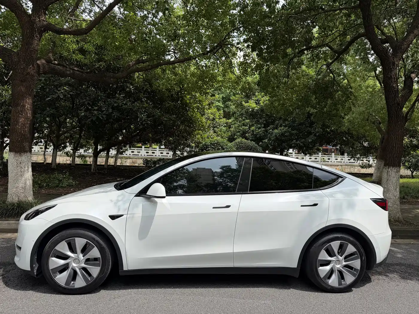 Фото 5 - Tesla Model Y