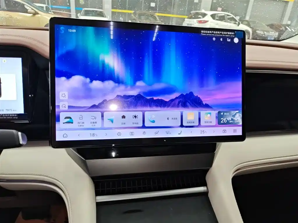 BYD Xia 2025 DM-i 1.5T 180km Surpass Edition фото 13
