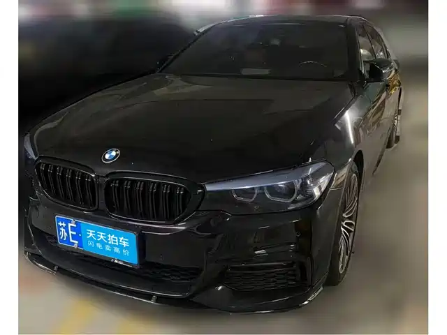 BMW 5 Series 2019 530Li Leading M Sport Package — фото 1