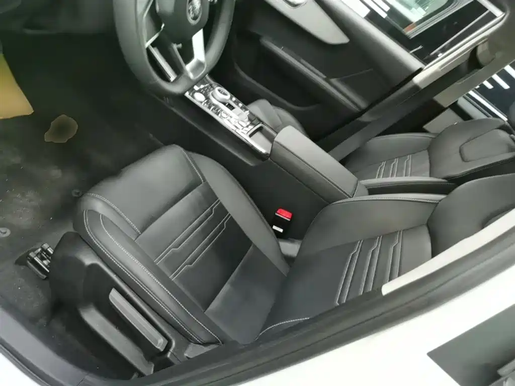 BYD Qin New Energy 2019 Travel Standard Edition фото 15