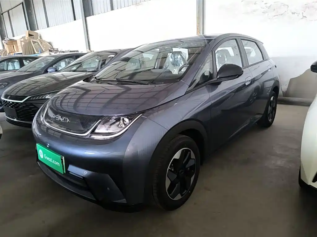 BYD Dolphin 2025 420km Freedom Edition