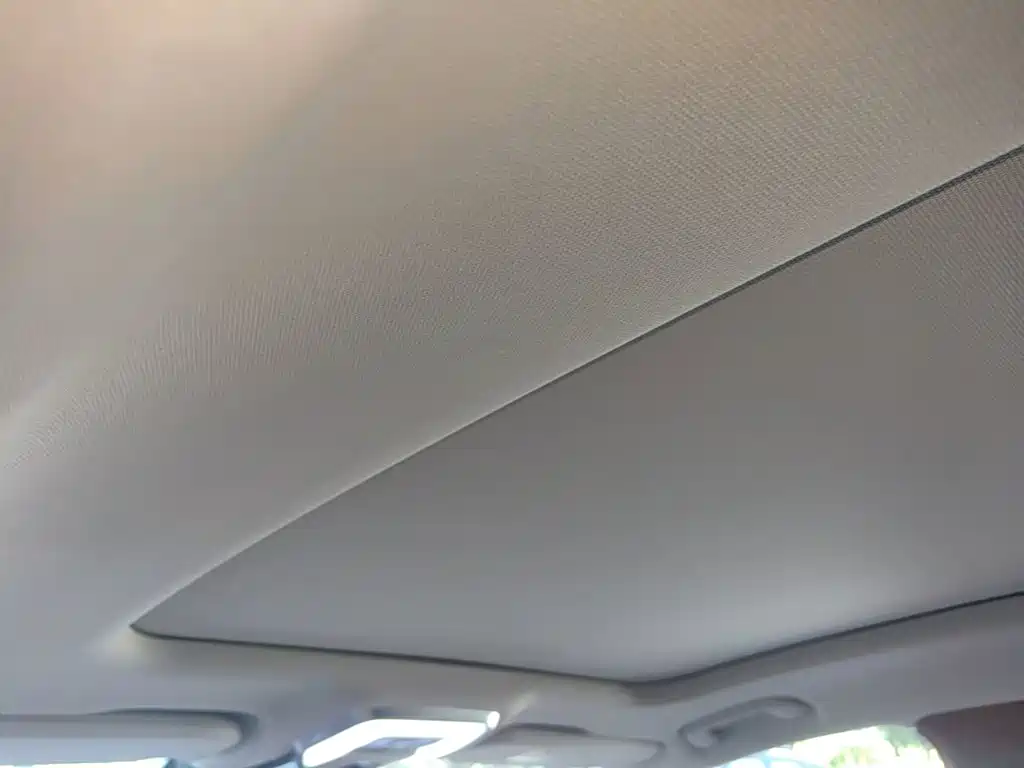 Hongqi H9 2025 2025 2.0T 2WD Qi Chang Private Style Edition 5-seater