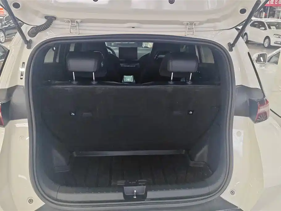BYD Seagull 2023 Vitality Edition фото 4