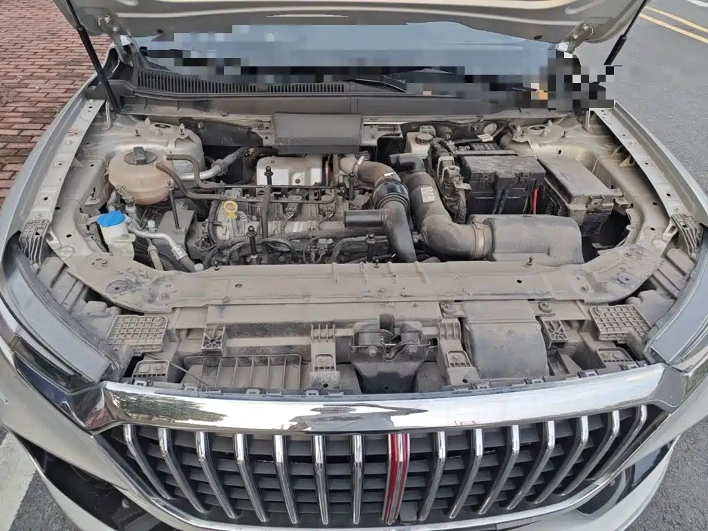 Hongqi HS5 2020 2019 2.0T Smart Connect Enjoy 4WD Edition