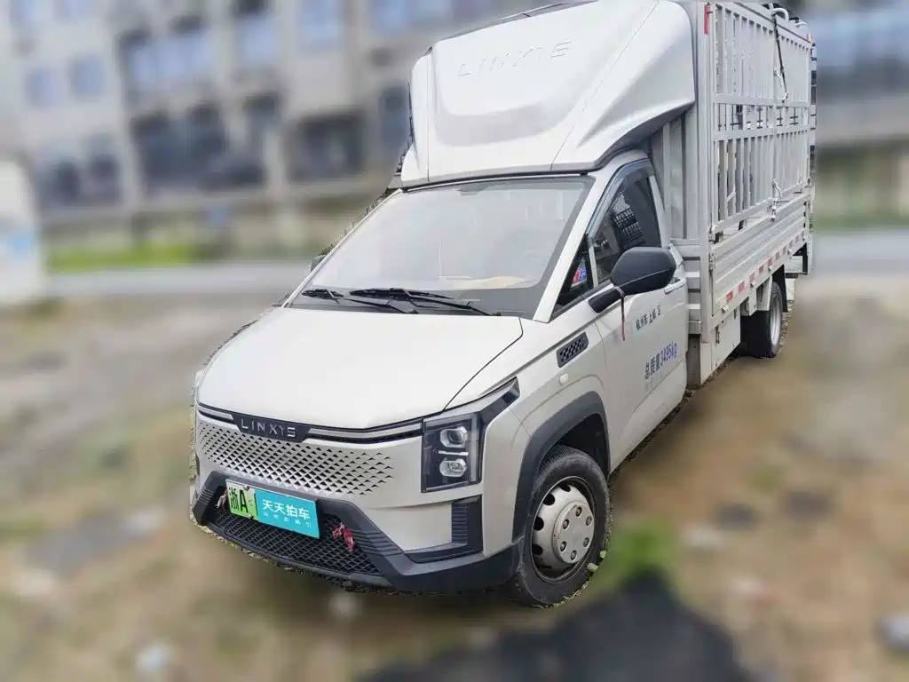 Lingshi Auto Ling Shi Golden Card 2024 2023 Cargo Grid Pioneer Edition