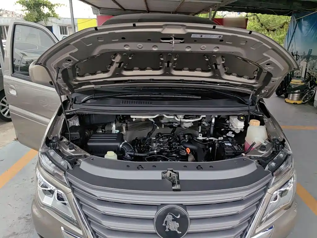 Dongfeng Fengxing Lingzhi 2025 2023 M5L 1.6L Basic 7-seater