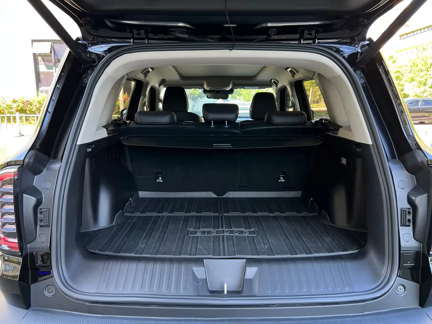 Haval Big Dog 2022 1.5T DCT FWD Border Collie Edition фото 13