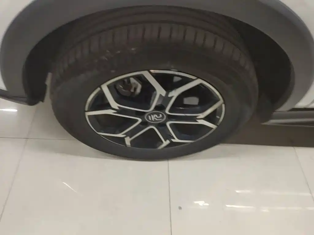 BYD Yuan Pro 2021 2021 401KM Premium Model