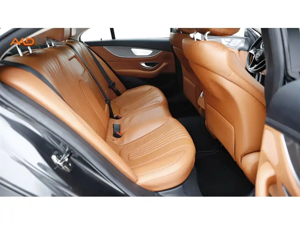 Mercedes-Benz CLS 2023 2022 CLS 300 Dynamic