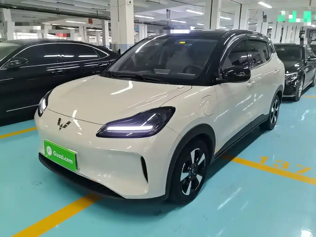 Wuling Motors Wuling Binguo PLUS 2025 2024 510km Range 5-seater