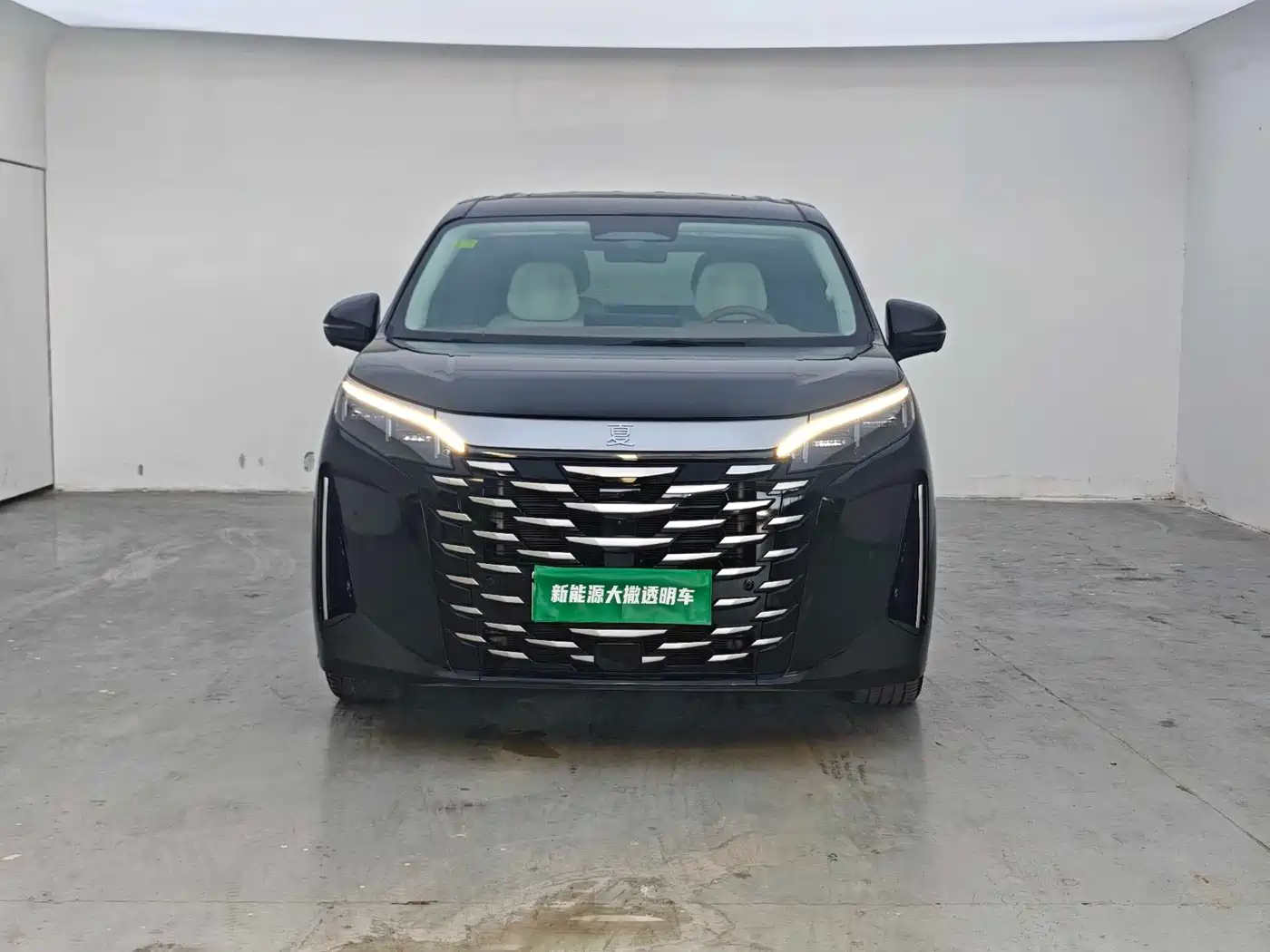 BYD Xia 2025 2025 DM-i 1.5T 180km Excellence