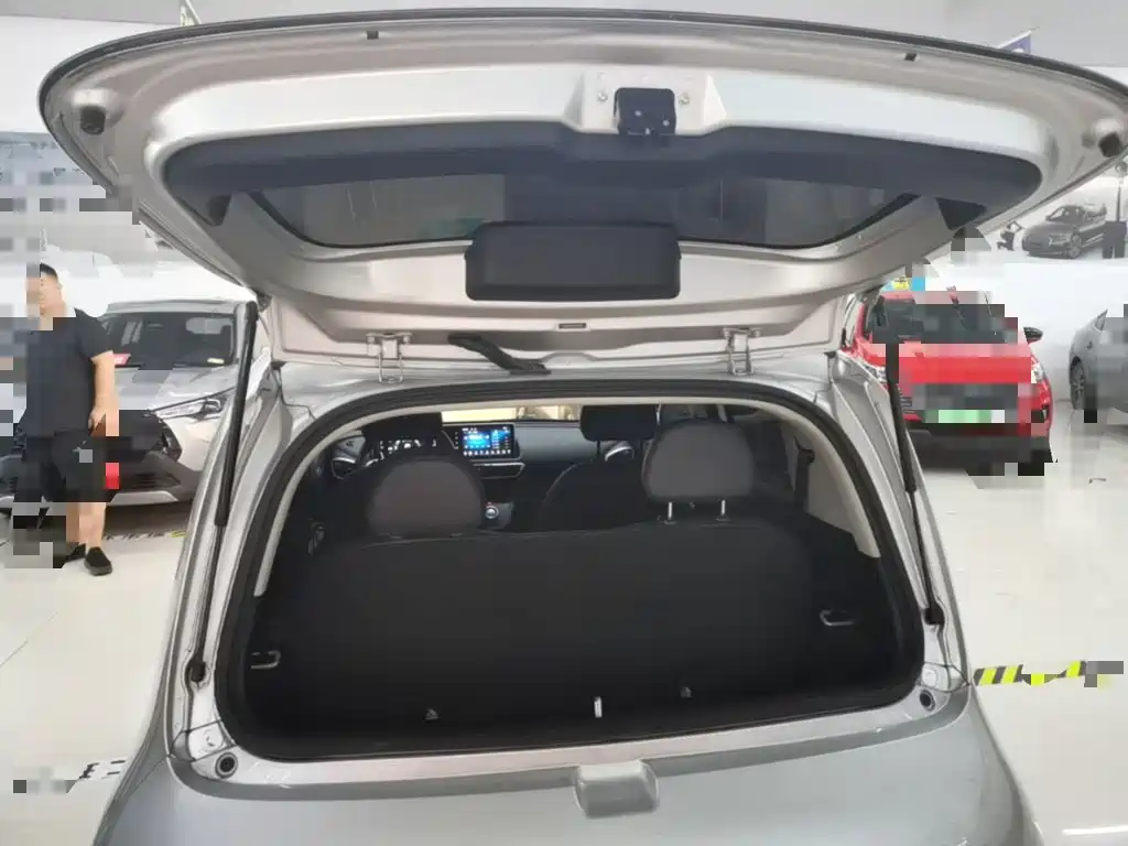 Ora White Cat 2021 2020 401km Flagship Model