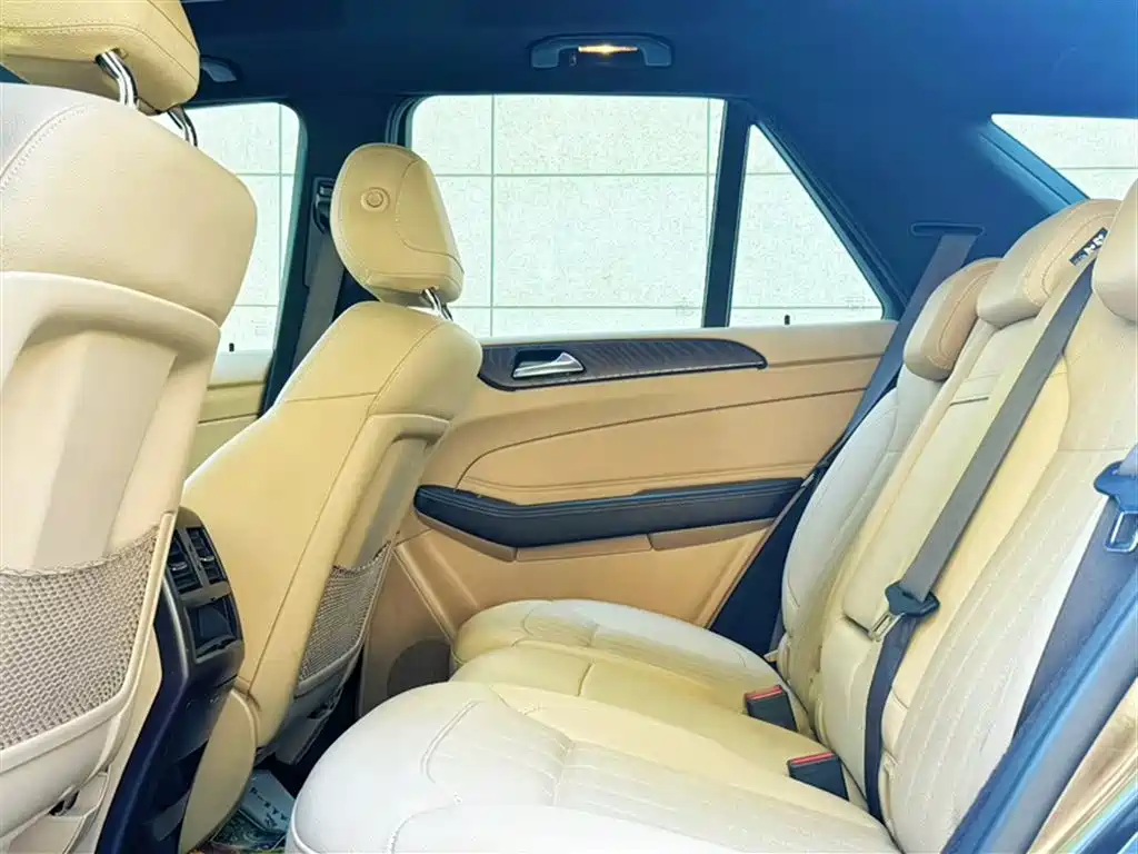 Mercedes-Benz GLE 2016 GLE 320 4MATIC Luxury фото 24