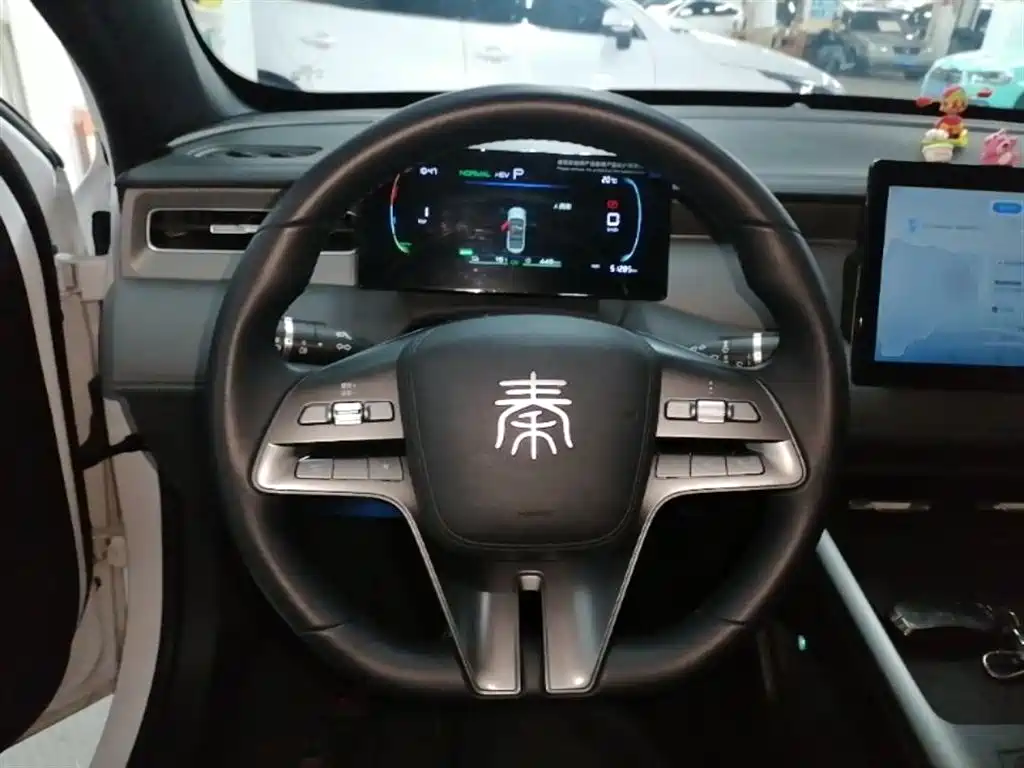 BYD Qin PLUS 2025 DM-i Smart Drive 55KM Leader фото 11