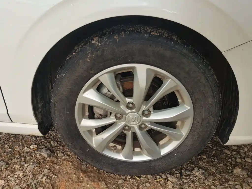 Photo 24 - Changan Eado
