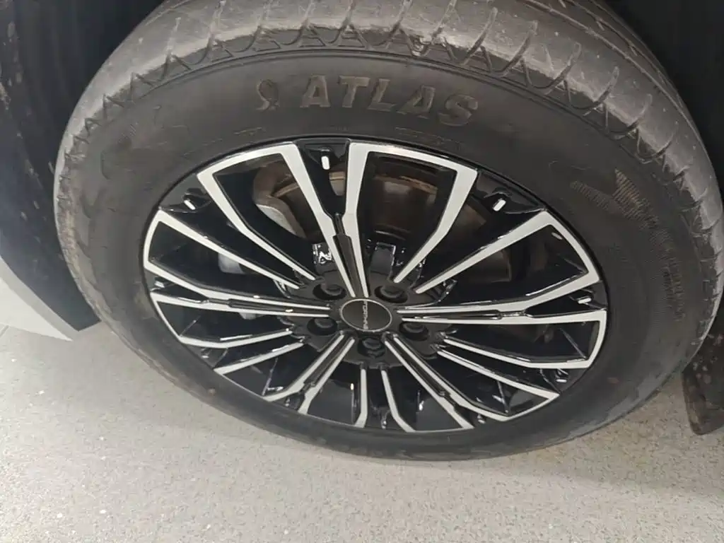 Dongfeng Fengxing Starlight V9 2024 2024 1.5TD 200km Chinese Knot Series Exclusive