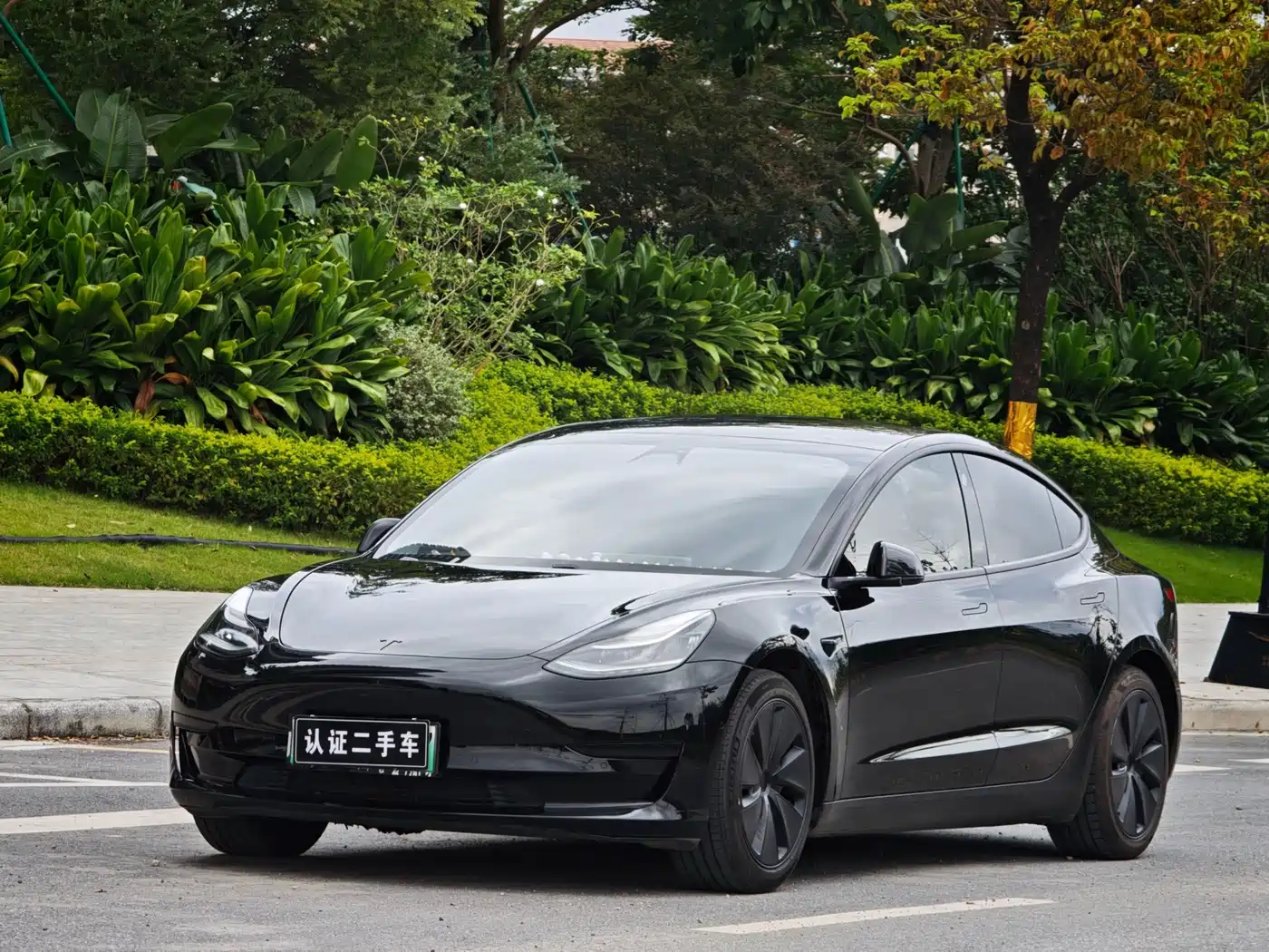 Tesla Model 3 2020