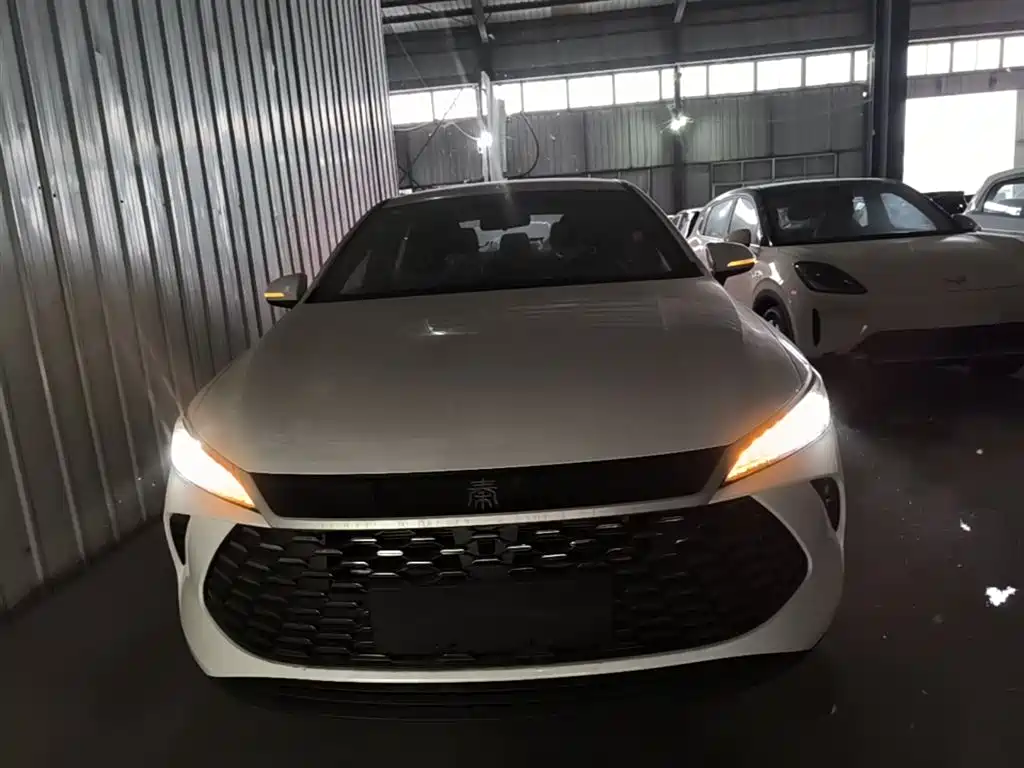 BYD Qin PLUS 2026 DM-i Smart Edition 128KM Progressive фото 3