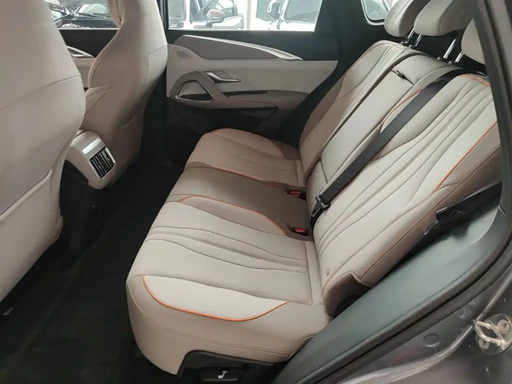 BYD Song Pro New Energy 2024 Glory Edition DM-i 71KM Leading фото 17