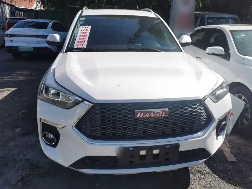 Haval H6 Coupe 2018 2018 Red Label 1.5T Auto 2WD Luxury Edition