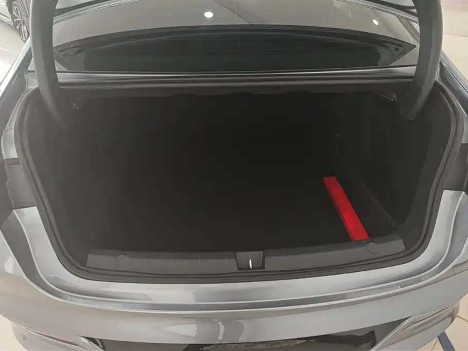 BYD Qin PLUS 2024 Glory Edition DM-i 55KM Leading фото 4