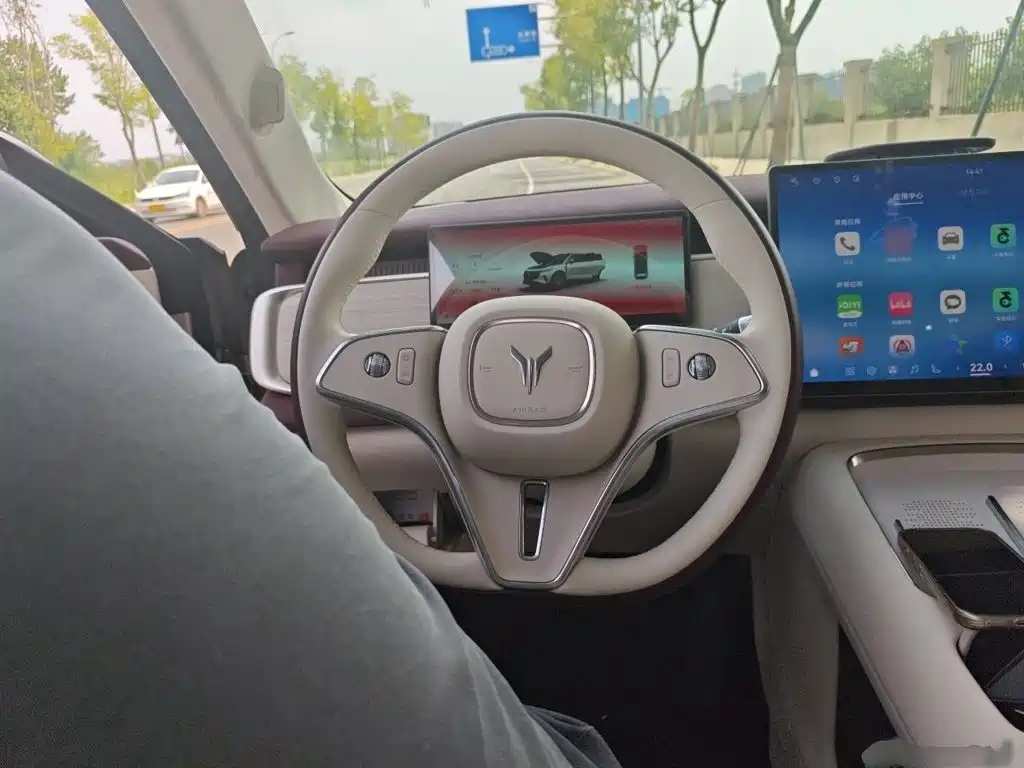 2025 Voyah Auto Voyah Zhiyin