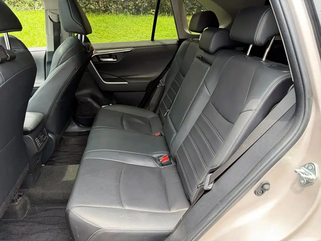 Toyota Wildlander 2023 2022 2.0L CVT 2WD Knight Edition
