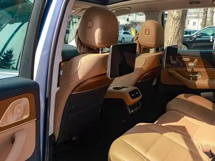 Mercedes-Benz GLS 2025 GLS 450 4MATIC Luxury фото 11