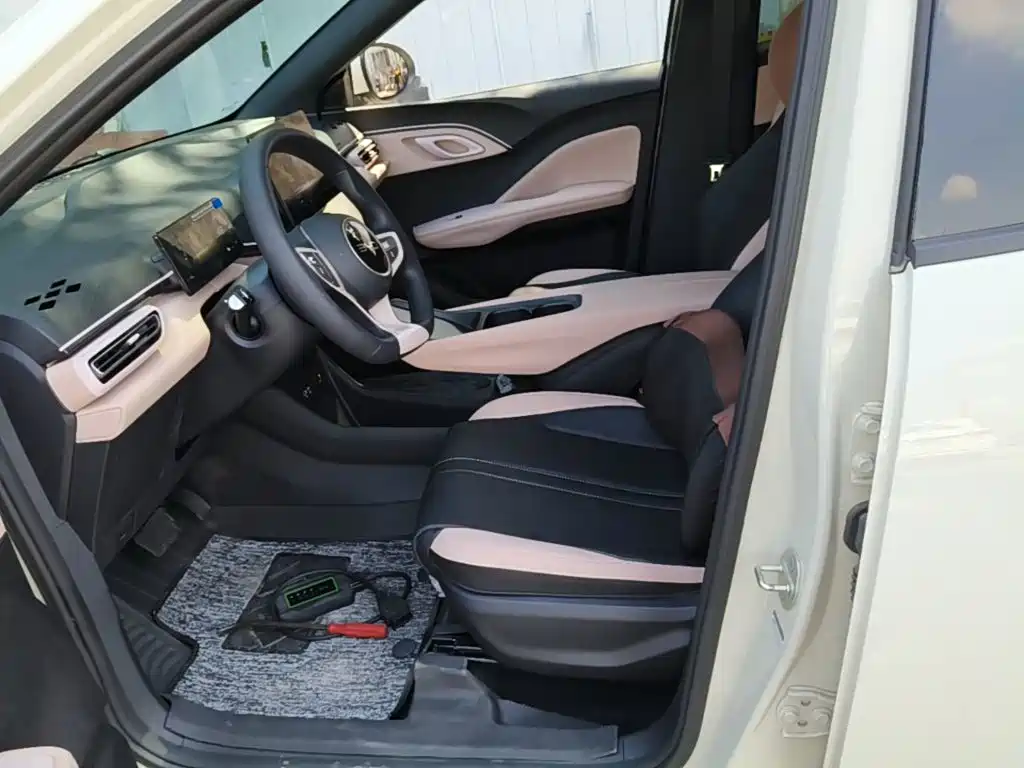 BYD Seagull 2026 2025 Smart Drive Edition 305km Vitality Version