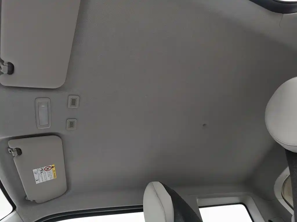 Geely Galaxy Panda 2026 2025 Panda mini 210km Vitality Bear