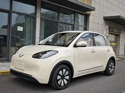 Wuling Bingo